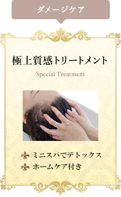 極上質感トリートメント